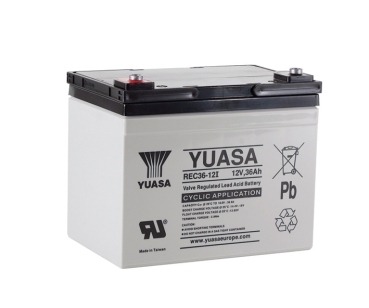 Yuasa REC36-12I 12V 36Ah